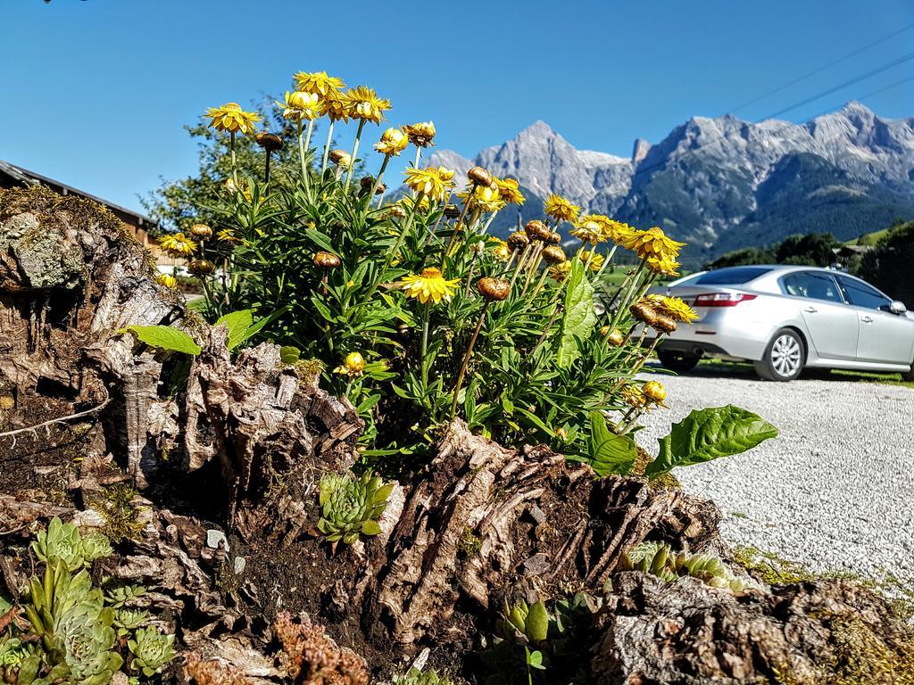 Appartement Biobauernhof Stegerbauer à Maria Alm Extérieur photo