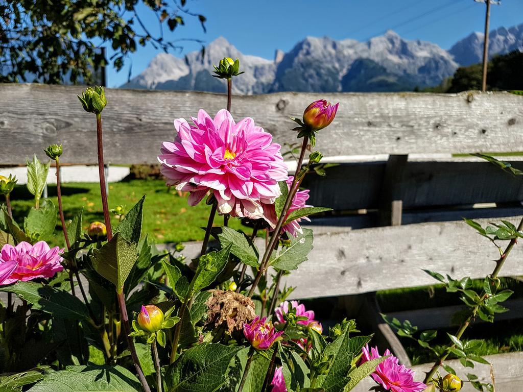 Appartement Biobauernhof Stegerbauer à Maria Alm Extérieur photo