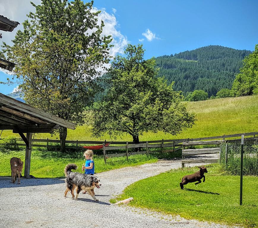 Appartement Biobauernhof Stegerbauer à Maria Alm Extérieur photo