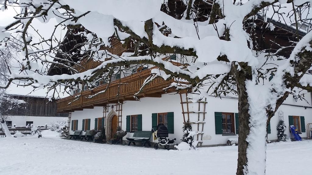 Appartement Biobauernhof Stegerbauer à Maria Alm Extérieur photo